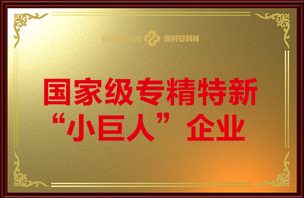 小巨人